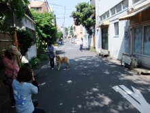 いぬのきもち8月号監修2